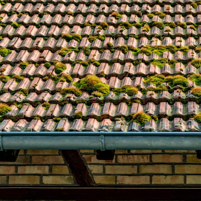 How to Clean Roof Tiles Wienerberger UK