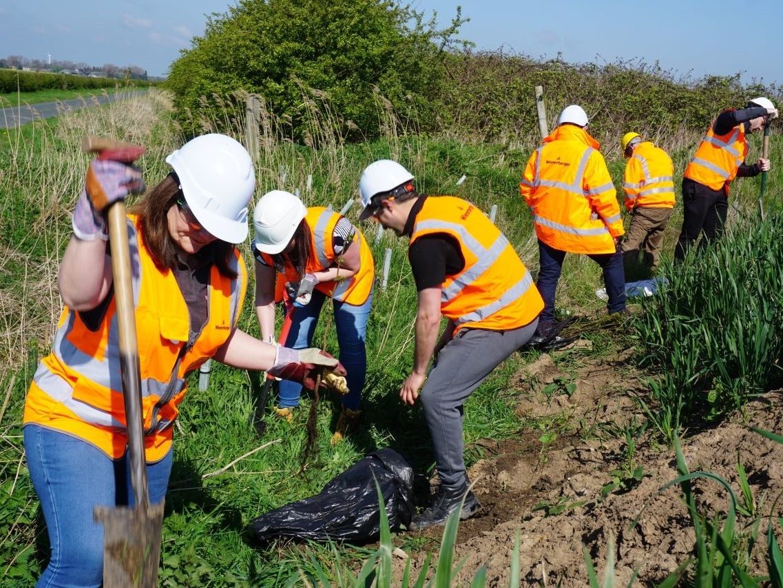 Broomfleet planting hedgerows with RSPB