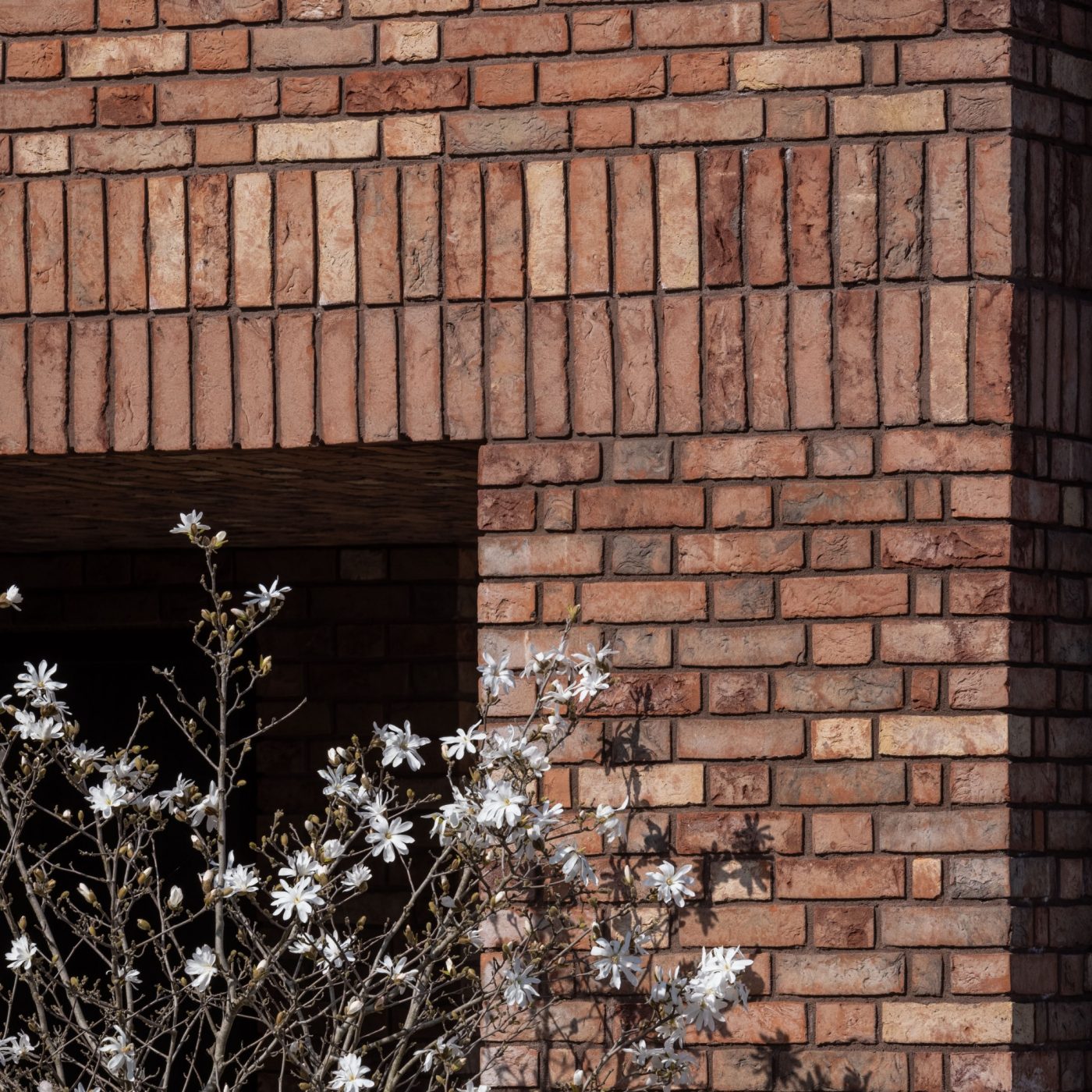 Annesley Gardens - Marziale and Jasmine Blend Bricks