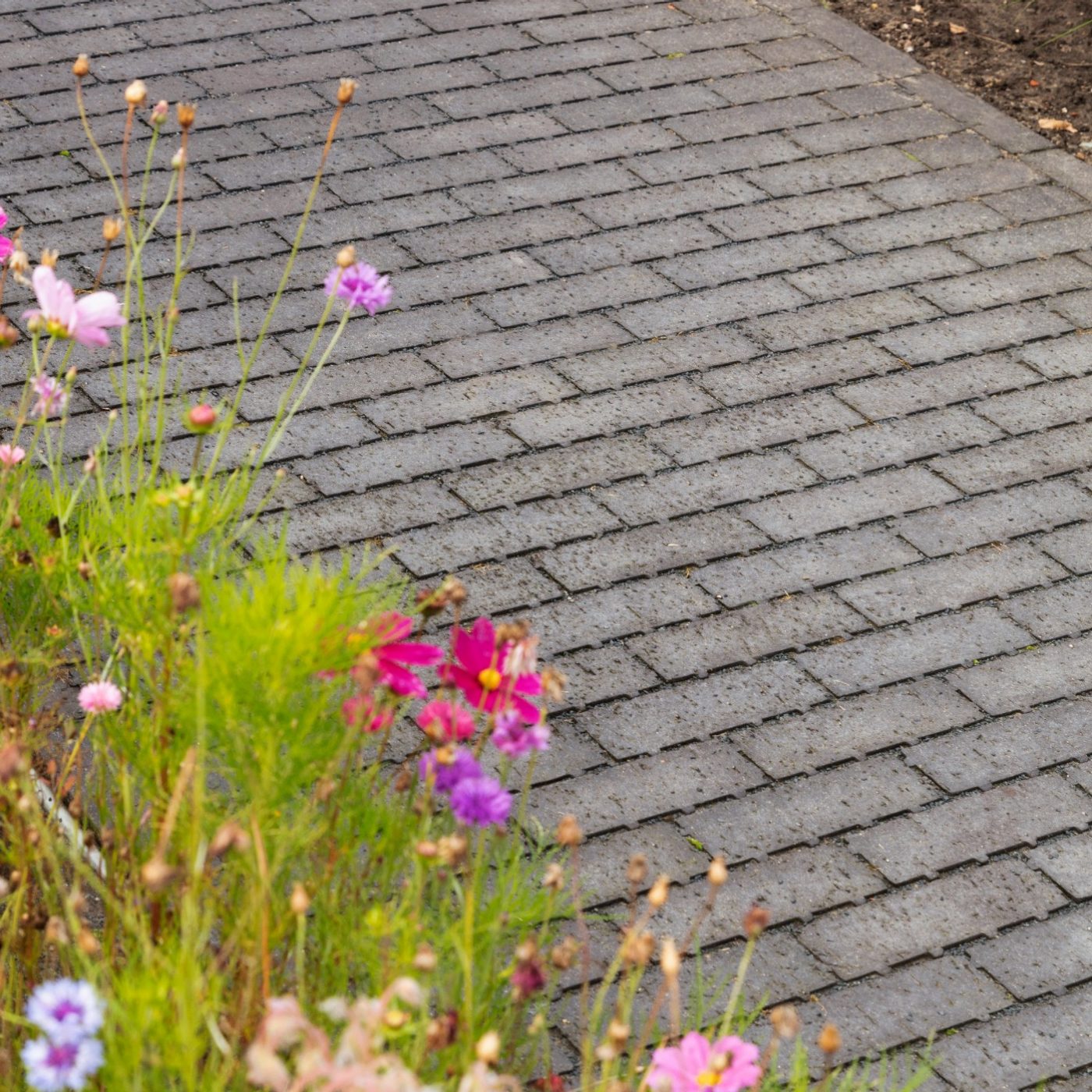 Urban green space park with clay paver pathways
