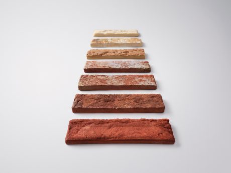 Brick Slip Phaunis