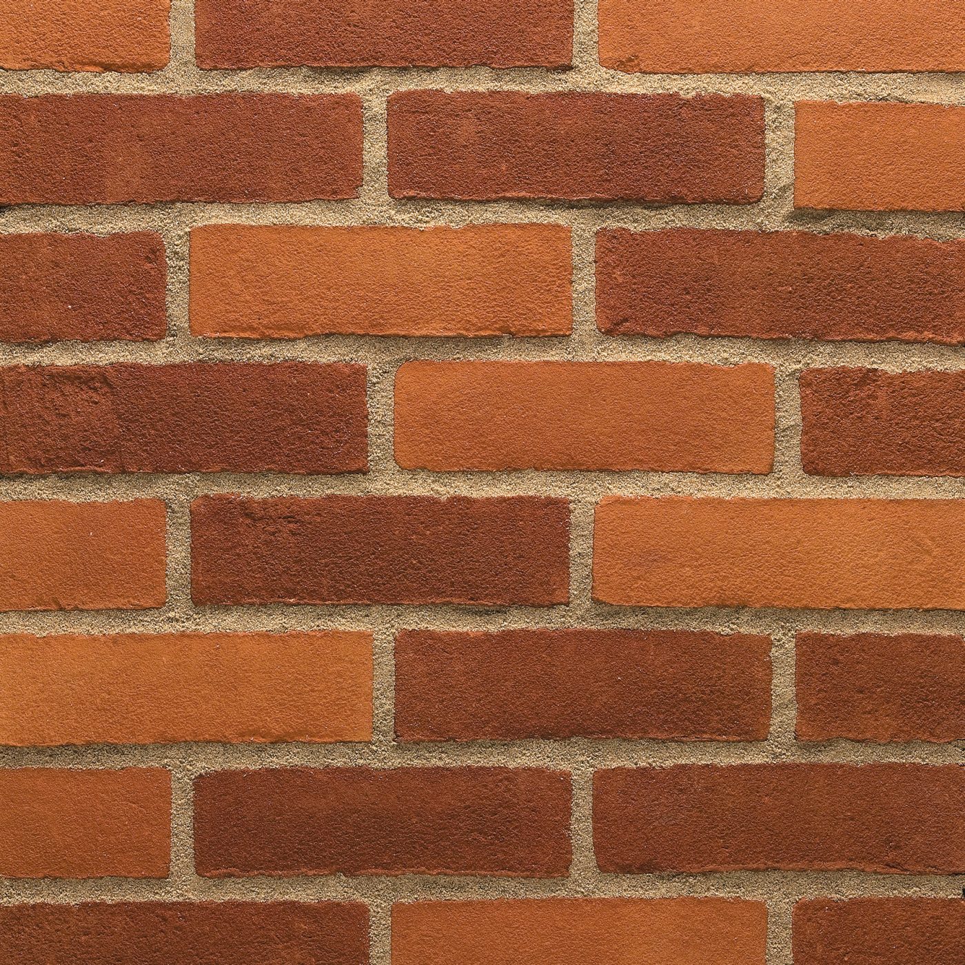 Eco-brick panel