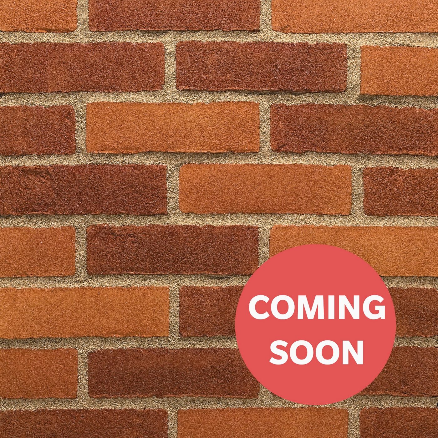 Warnham Red Orange Blend - Coming Soon