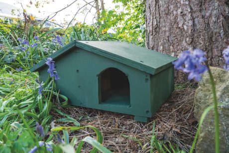 Hedgehog box amongst bluebells at the foot of a tree