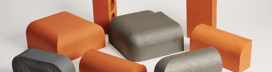 Selection of blue and red special bricks