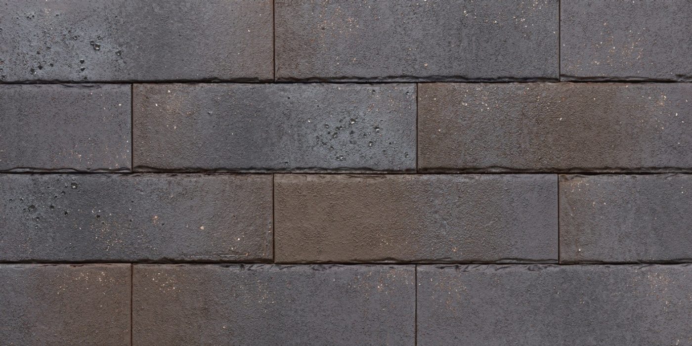 Pelaris_Pecan_Brown