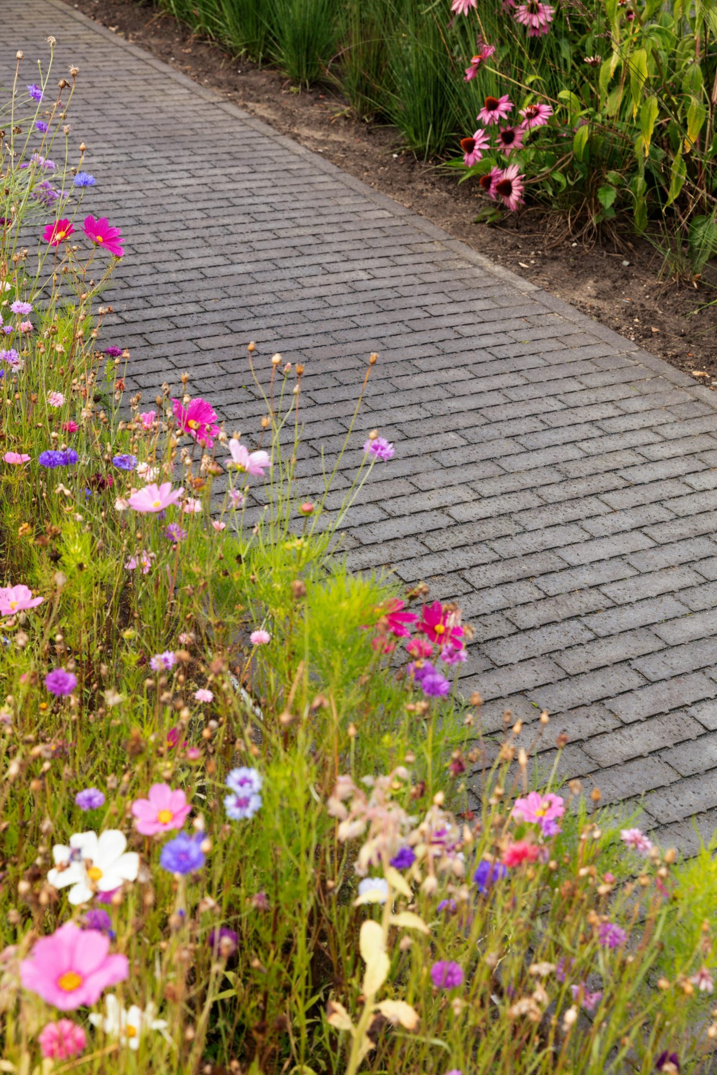 Reference photo private landscaping in Sint-Katelijne-Waver