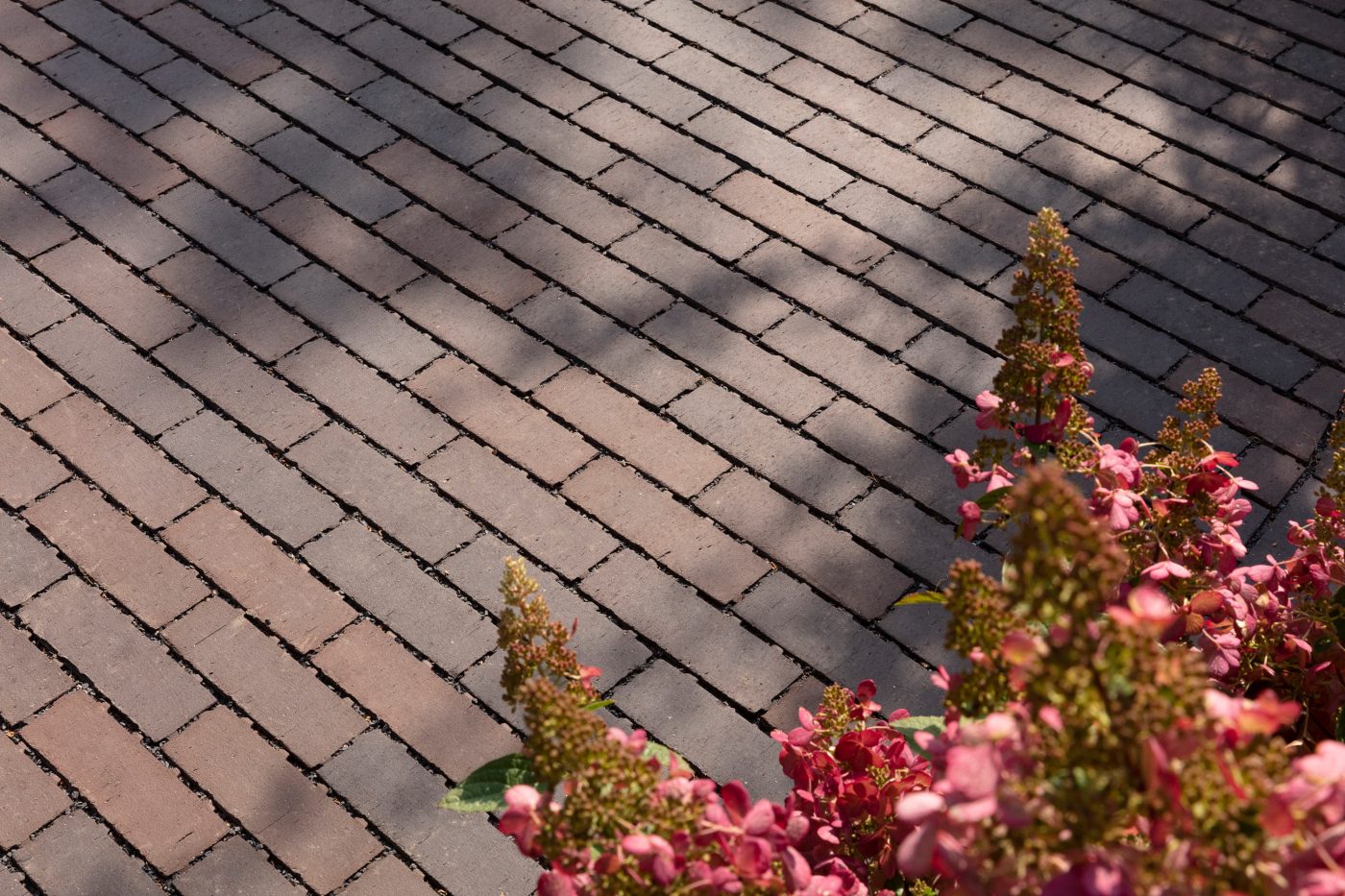 Brown clay permeable pavers with plant