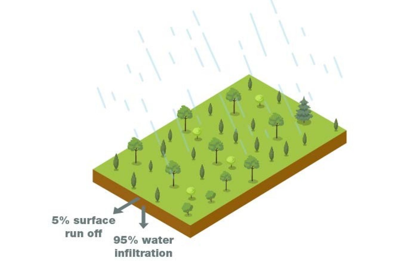 Diagram showing 95% water infiltration in rural area