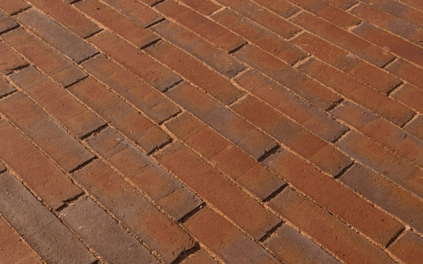 Details of Rosa Waterstruck WF clay pavers