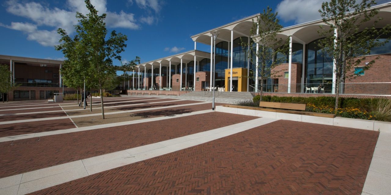 Rosa Waterstruck WF paver