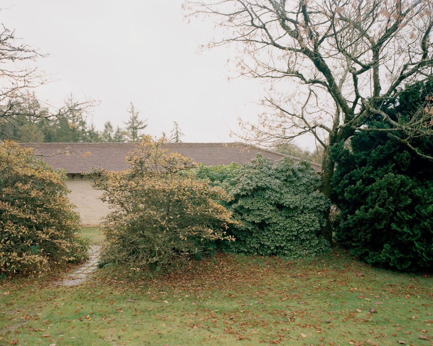 Natural surroundings with green bushes and trees