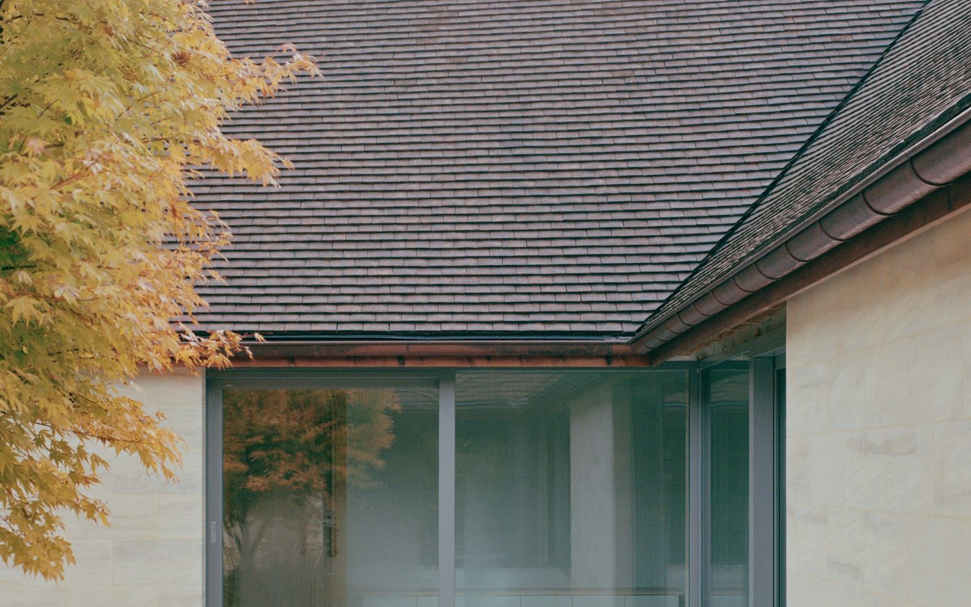 floor to ceiling windows used on the one storey building