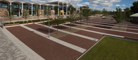 Rosa Waterstruck WF paver