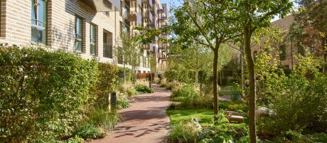 Landscaped area paved pathways and trees in between block of flats