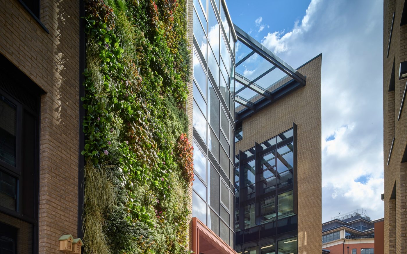 Modern office with glass front and external green plant wall