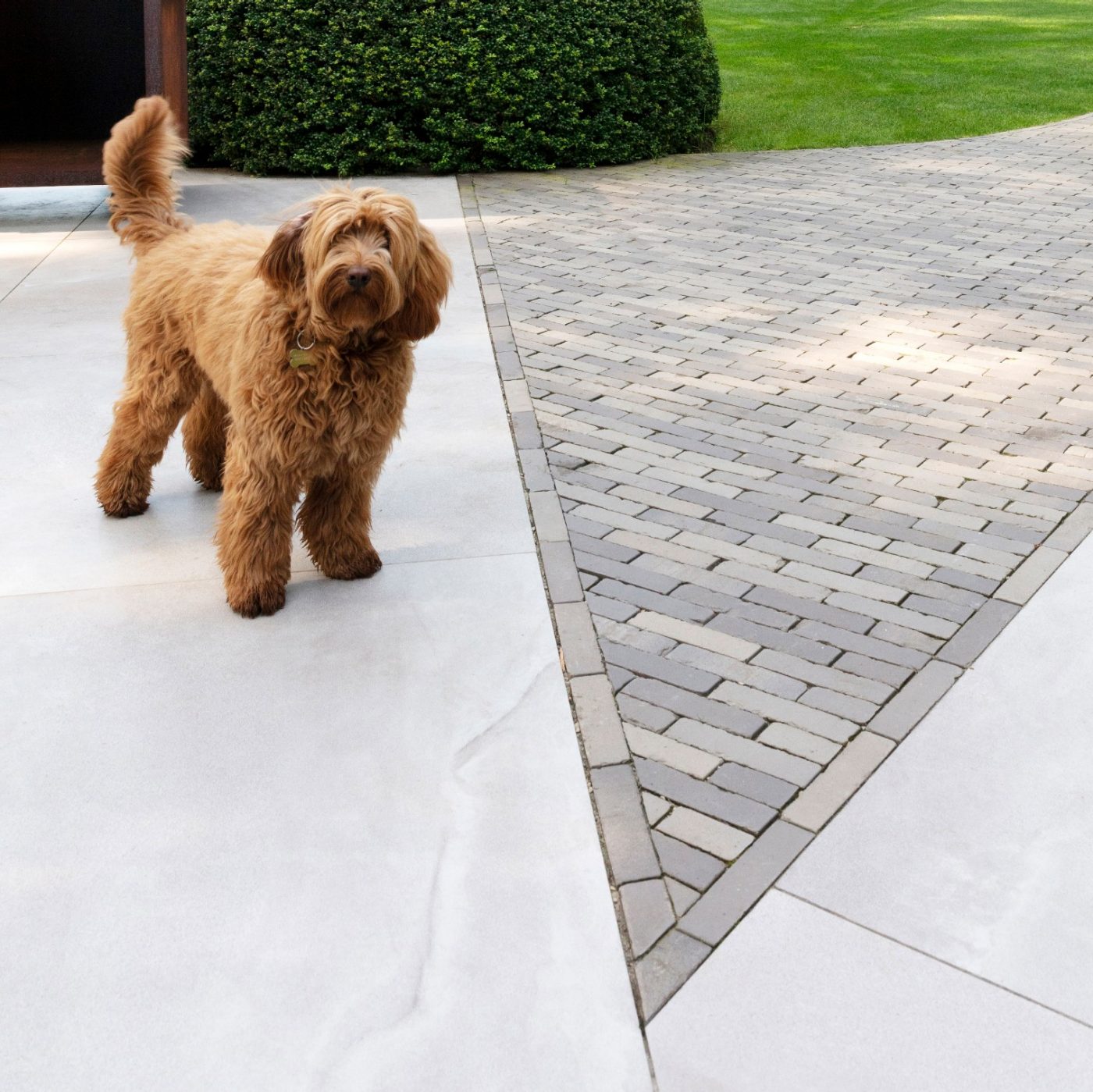 Private garden | Kapellen, België 