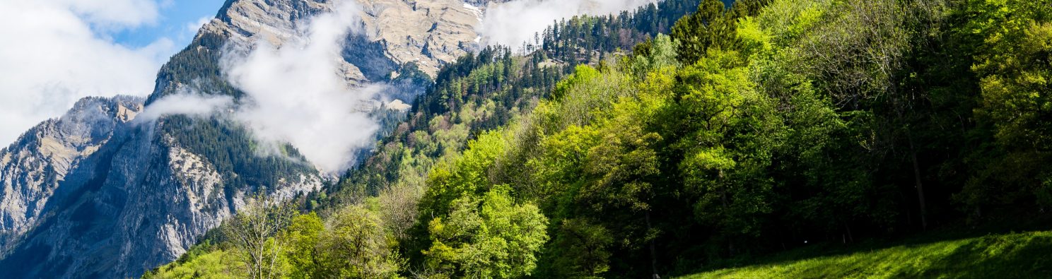 The Swiss Alps