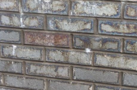 Peacocking on blue bricks