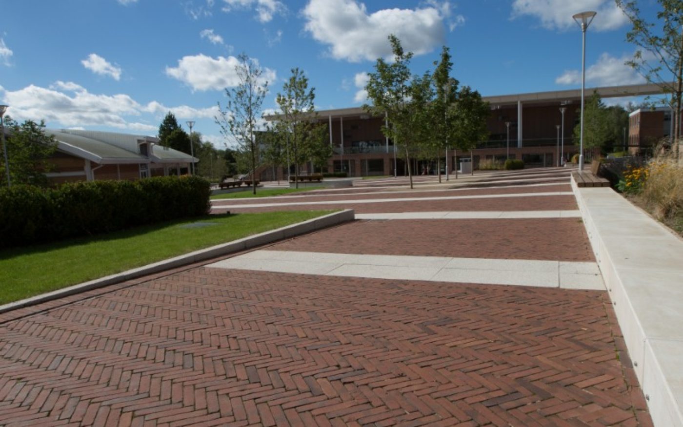 Rosa Waterstruck WF paver