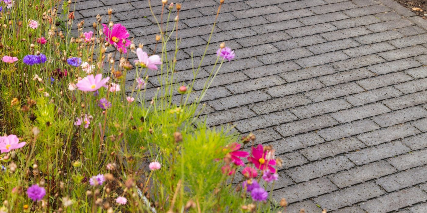 Reference photo private landscaping in Sint-Katelijne-Waver