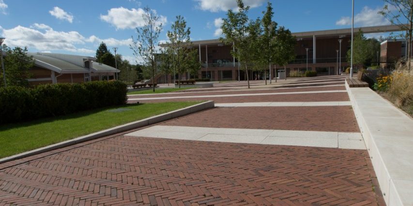 Rosa Waterstruck WF paver