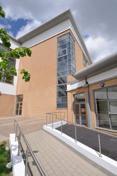 Nevada Buff and Staffordshire Smooth Blue 