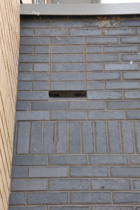 Nevada Buff and Staffordshire Smooth Blue 