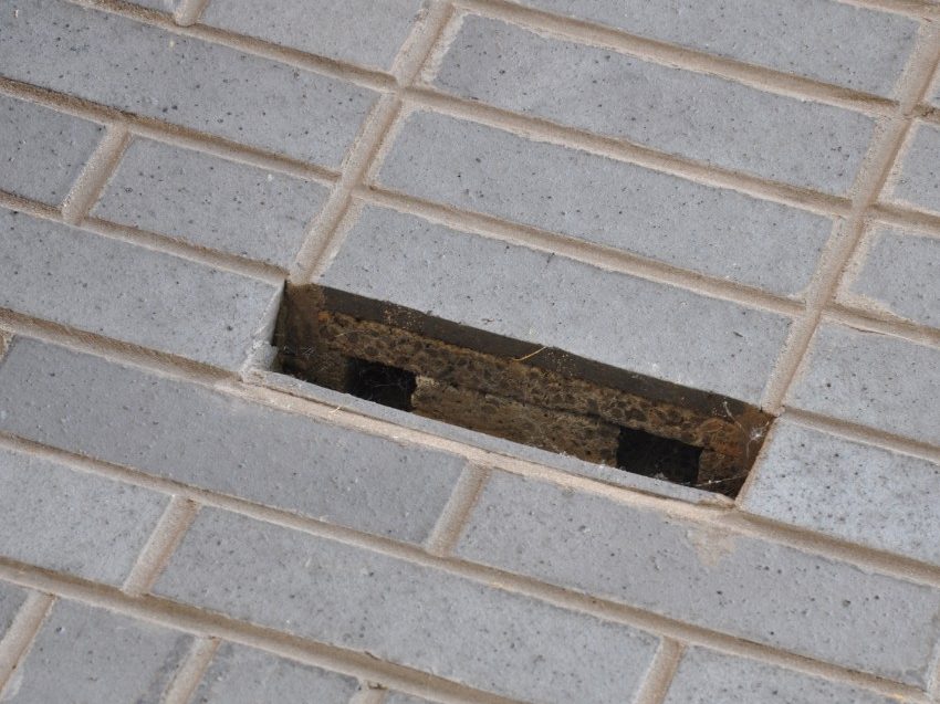 Guide to Bat & Bird Boxes Wienerberger UK