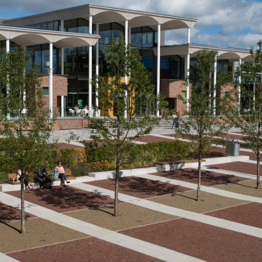 Rosa Waterstruck WF paver