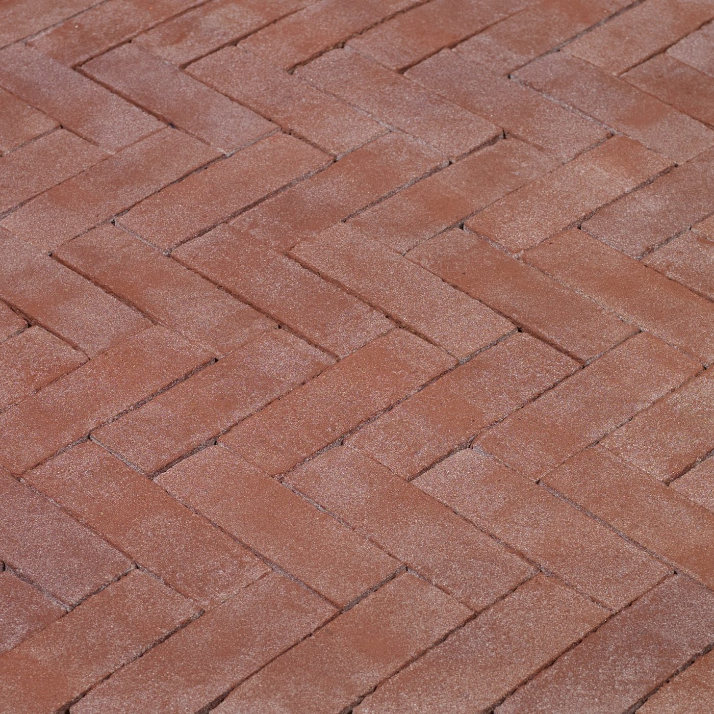 Productshot of the Bruno DF Kijfwaard West