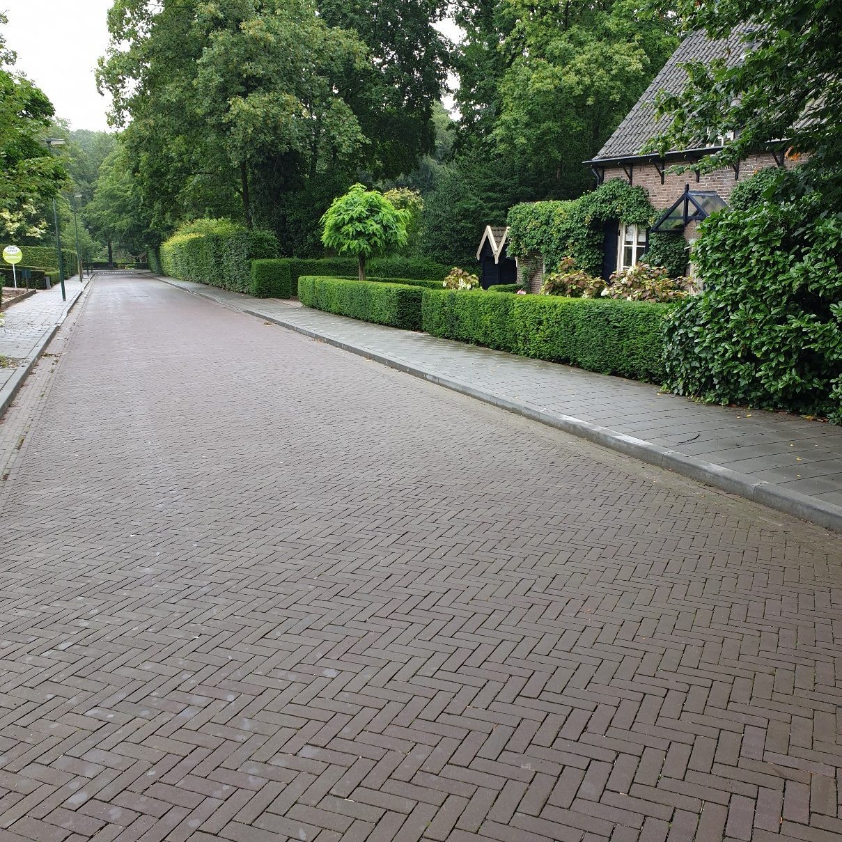 Mastiek DF. Contractor: Roelofs Infra en Milieu B.V.. Opdrachtgever: Township Rozendaal. Renovation public street | Genestetlaan, Rozendaal