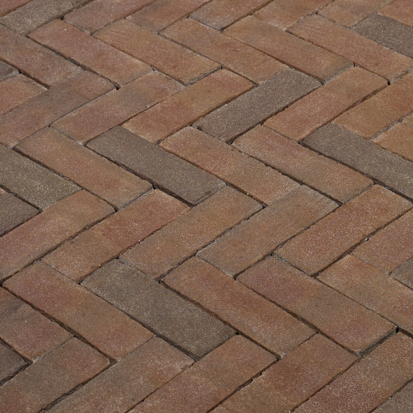 Productshot of the Novoton DF Zennewijnen
