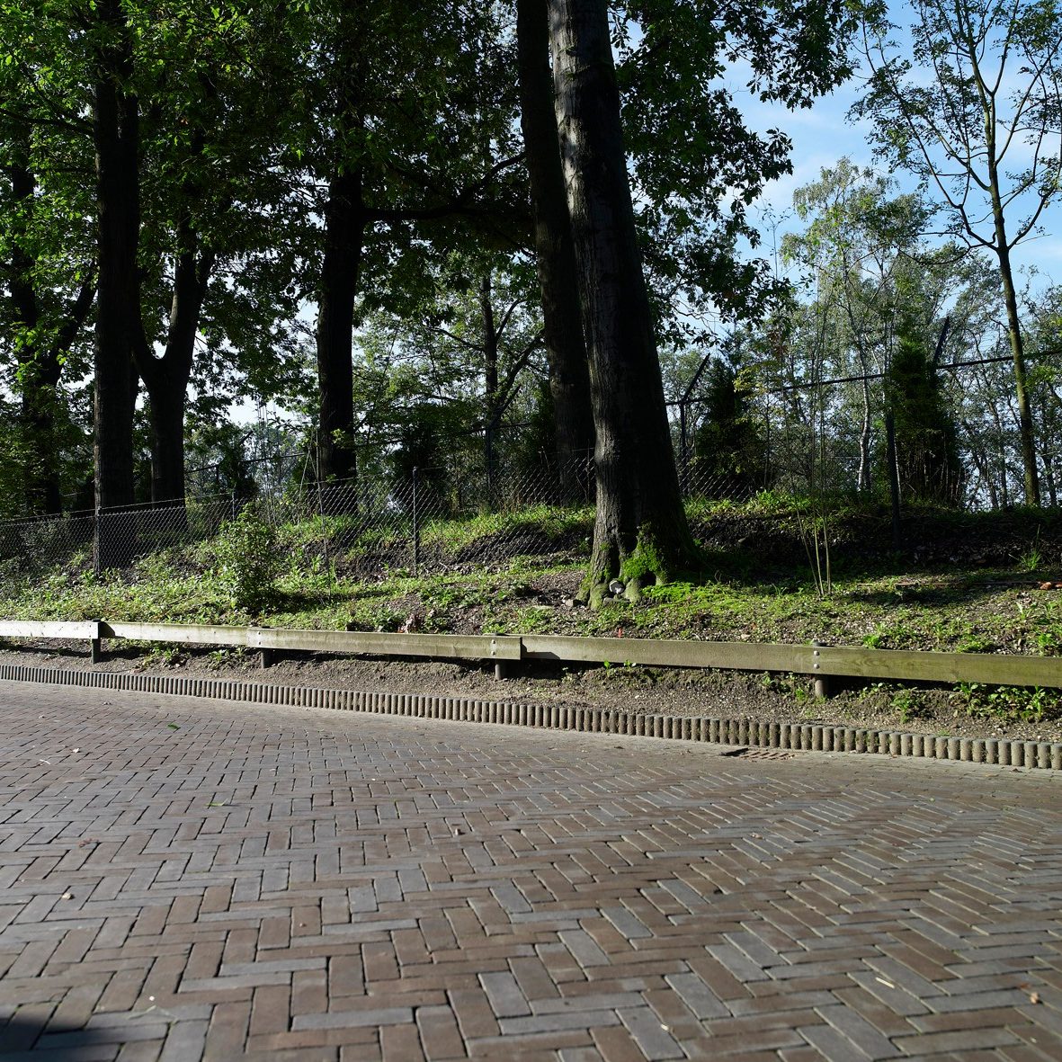Renovation street | Burgers´ Zoo, Arnhem | Pavers: Oliva waterstruck DF | Architect: Veenenbosch and Bosch landscape architects, Arnhem and Township Arnhem and SmitsRinsma, Zutphen | Client: Royal Burgers' Zoo and Township Arnhem | Contractor: Van de Haar Group, Wekerom