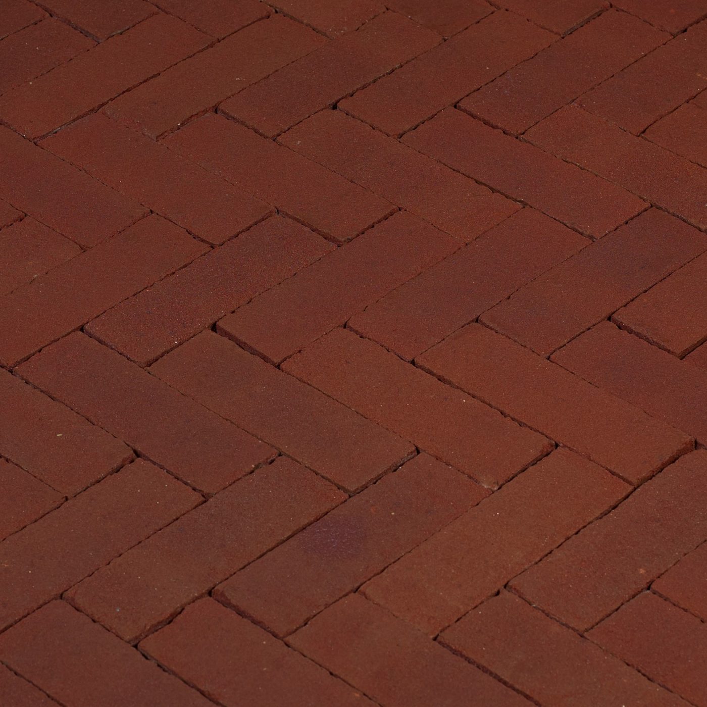 Productshot of the Paviona DF Kijfwaard West