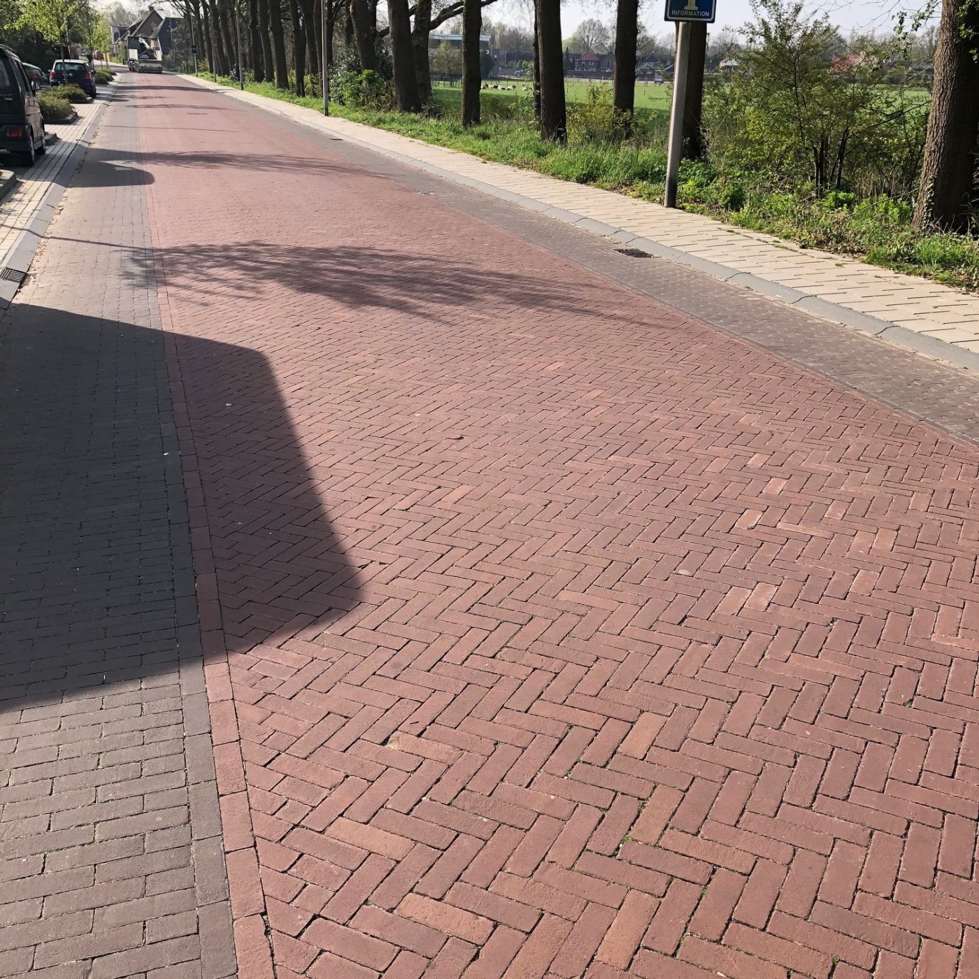 Omber DF side of road, Paviona DF middle of road. Renovation public road | Burgemeester van de Borchstraat, Holten