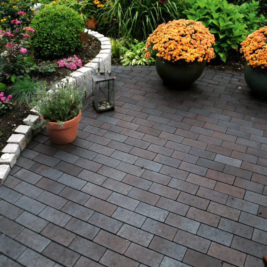 paver, penter, paving stone, terrace, garden, plant