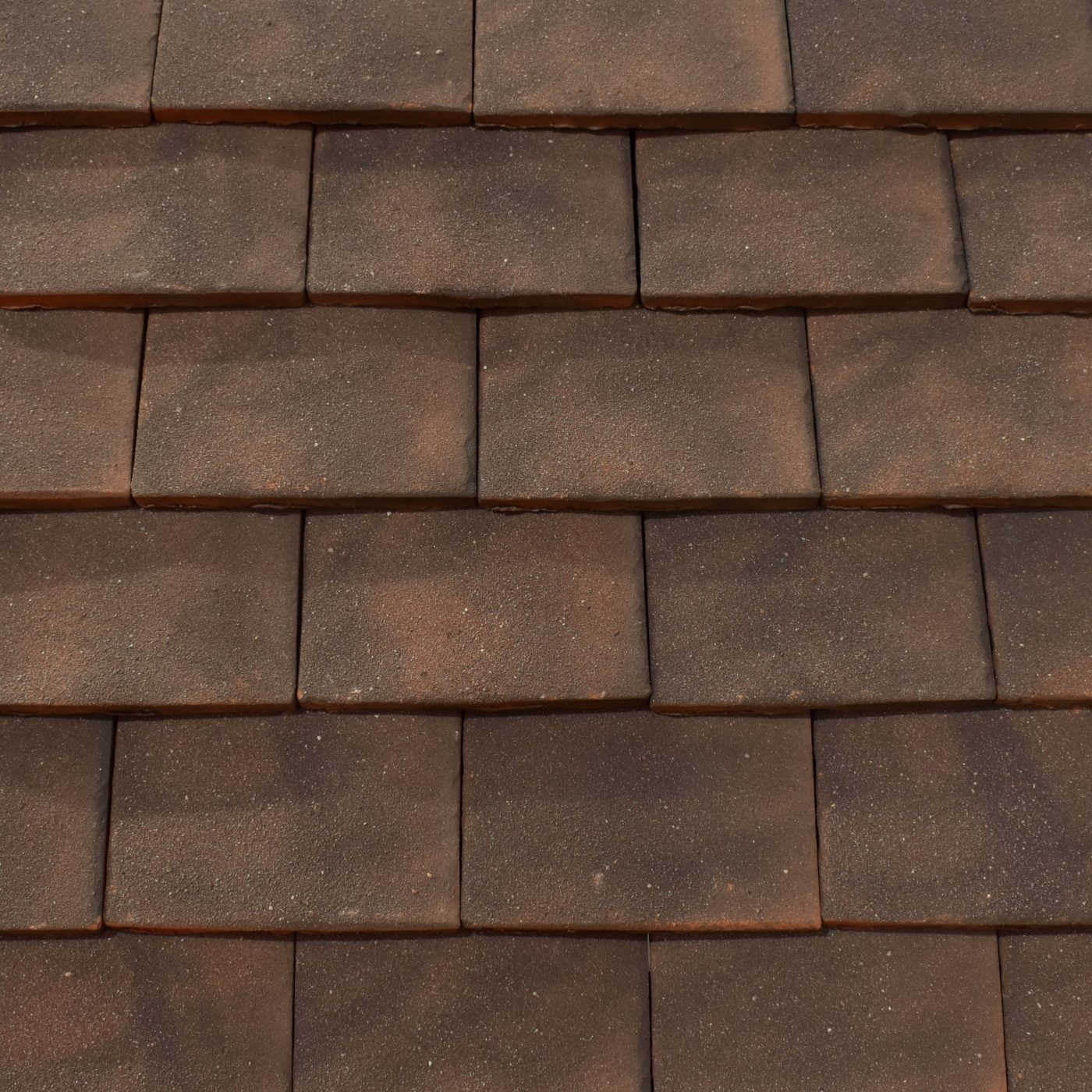 Goxhill Dark Chestnut